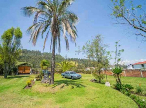 Naturaleza Pura